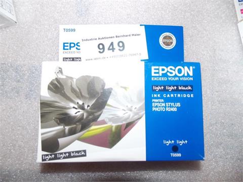 Epson Drucker-Tintenpatrone  Nr. T0599, Schwarz      P095/949