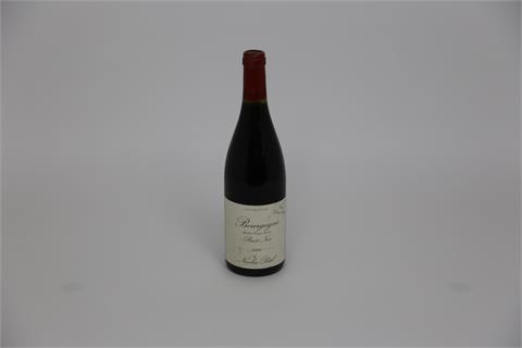 2 Fl. Nicolas Potel Bourgogne Pinot Noir - Burgundy 2006